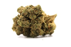 Pedanios 29/1 SRD CA